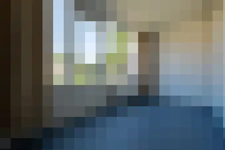 Rocht 2 Norg thumbnail 14