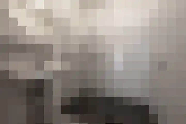 Rocht 2 Norg thumbnail 19