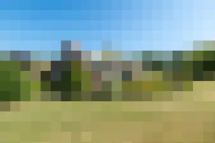 Rocht 2 Norg foto 2