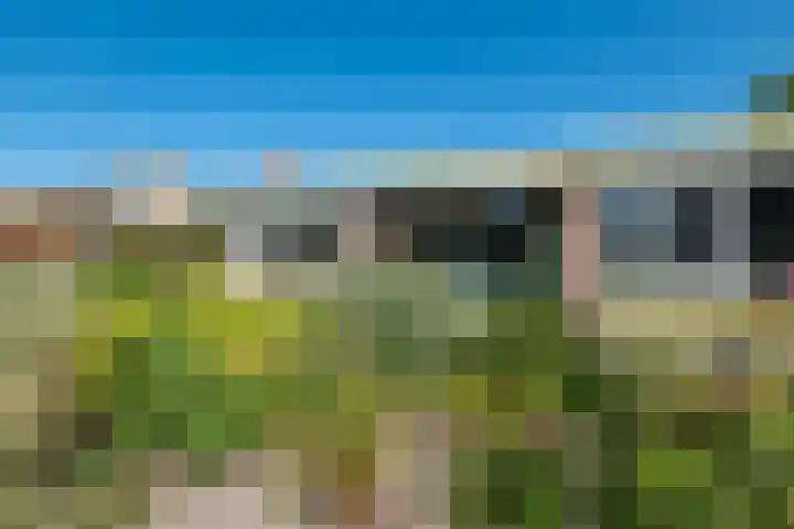 Rocht 2 Norg thumbnail 24