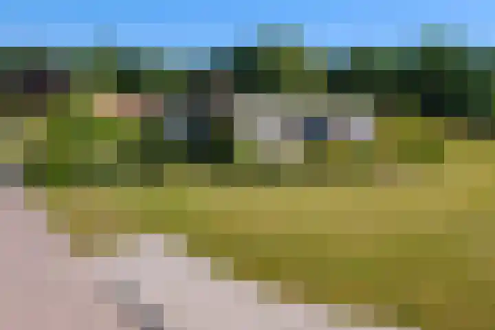 Rocht 2 Norg thumbnail 29