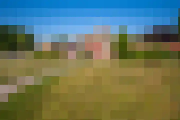 Rocht 2 Norg thumbnail 31