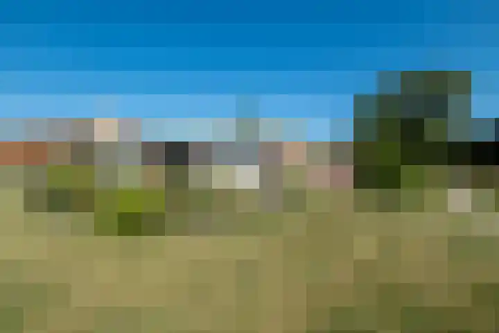 Rocht 2 Norg thumbnail 32