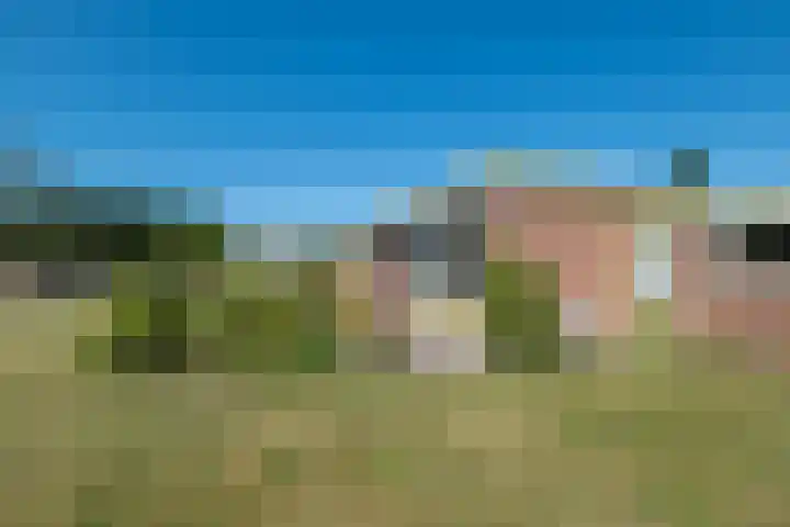 Rocht 2 Norg thumbnail 35