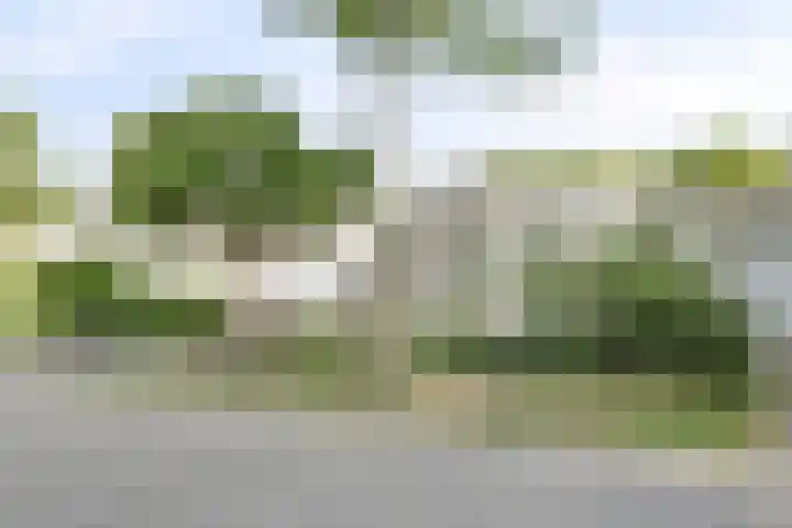 Rode Beemden 25 Helmond thumbnail 32
