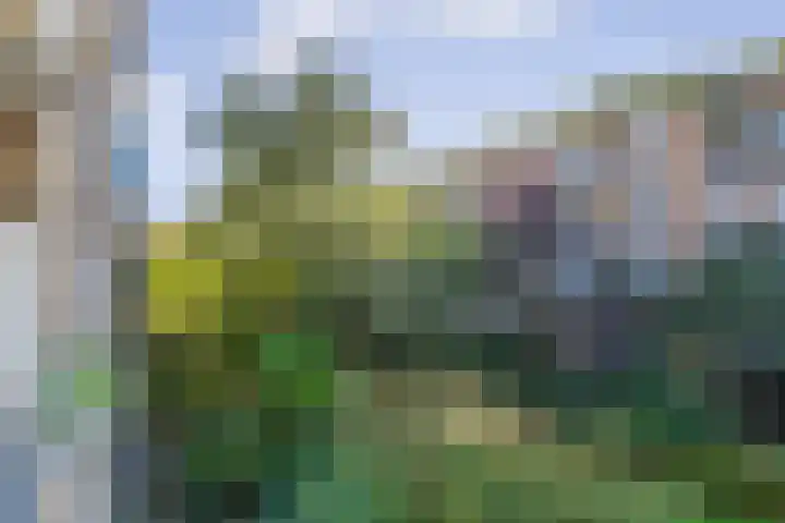 Rode Beemden 25 Helmond thumbnail 6