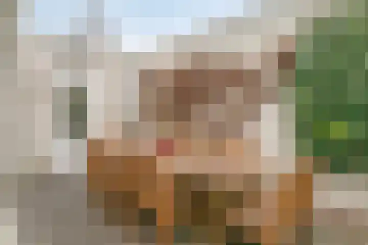 Rode Beemden 27 Helmond thumbnail 31