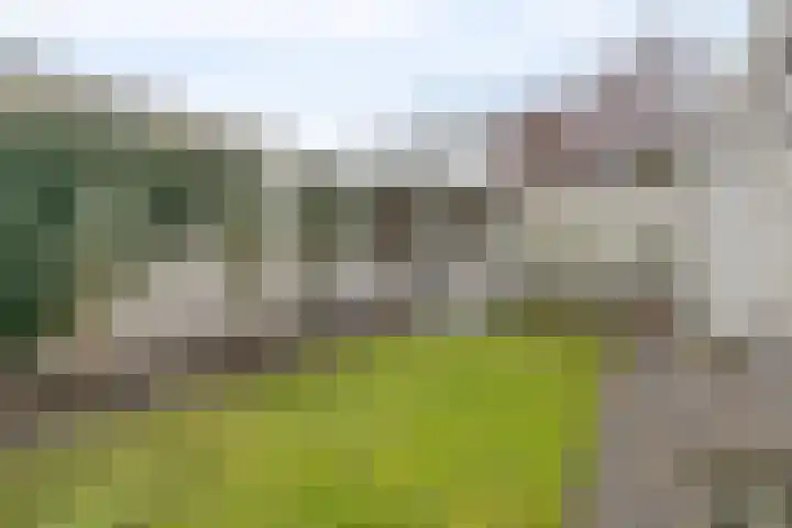 Rode Beemden 27 Helmond thumbnail 32