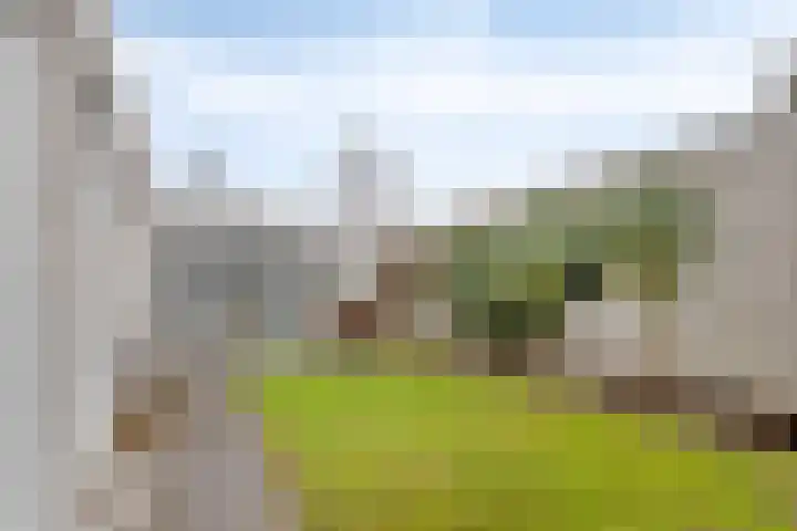 Rode Beemden 27 Helmond thumbnail 33