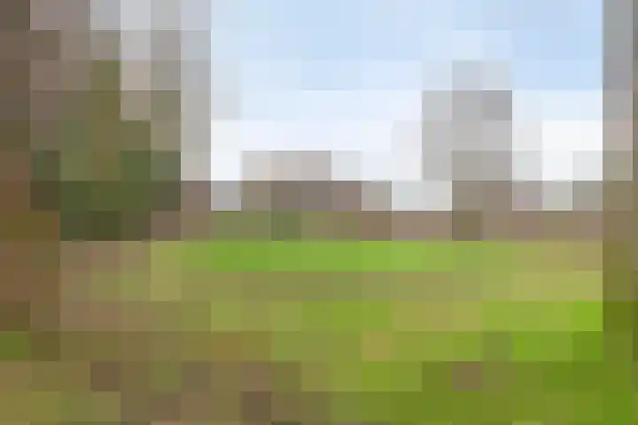 Rode Beemden 27 Helmond thumbnail 34