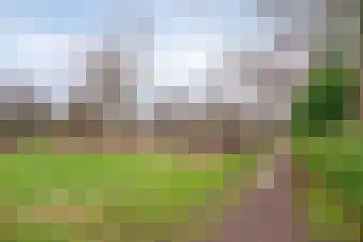 Rode Beemden 27 Helmond thumbnail 35