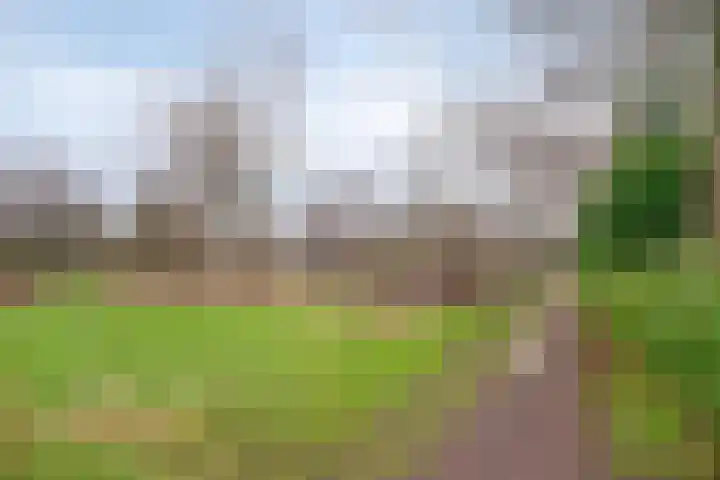 Rode Beemden 27 Helmond thumbnail 5