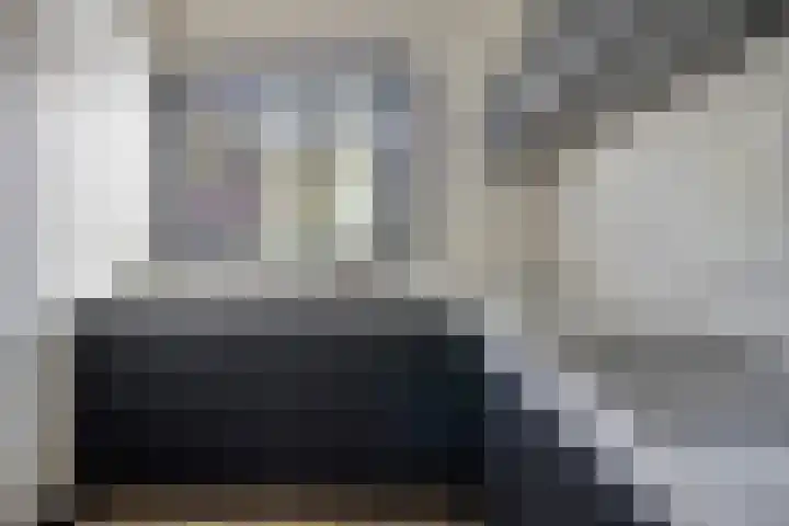 Rode Beuk 58 Halsteren thumbnail 13