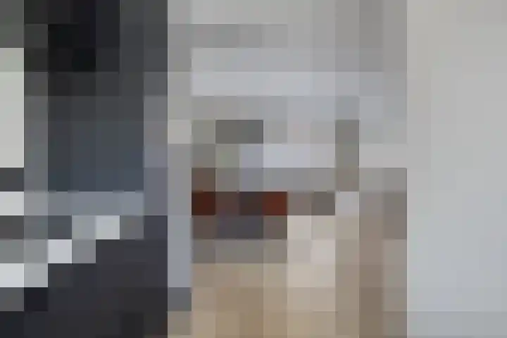 Rode Beuk 58 Halsteren thumbnail 15