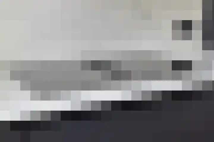 Rode Beuk 58 Halsteren thumbnail 16