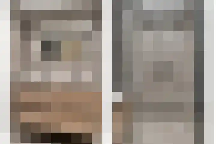 Rode Beuk 58 Halsteren thumbnail 21