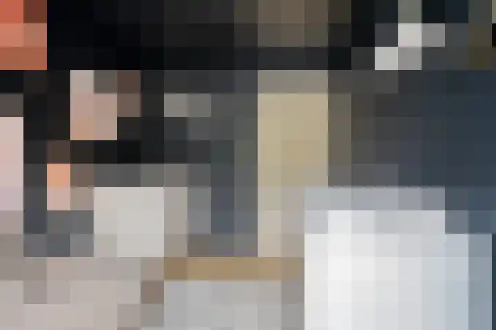 Rode Beuk 58 Halsteren thumbnail 24