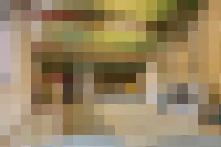 Rode Beuk 58 Halsteren thumbnail 25