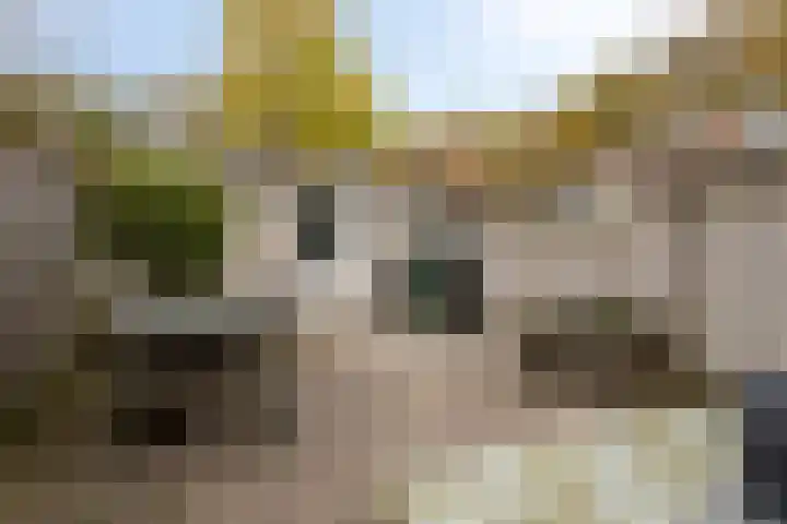 Rode Beuk 58 Halsteren thumbnail 27