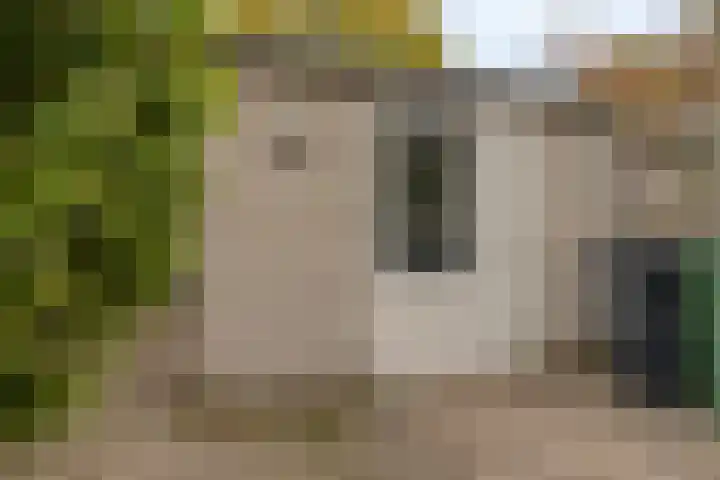 Rode Beuk 58 Halsteren thumbnail 30