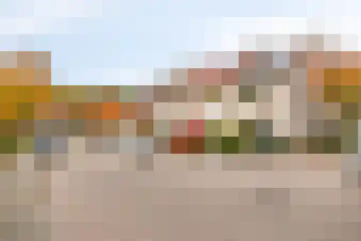 Rode Beuk 58 Halsteren thumbnail 36