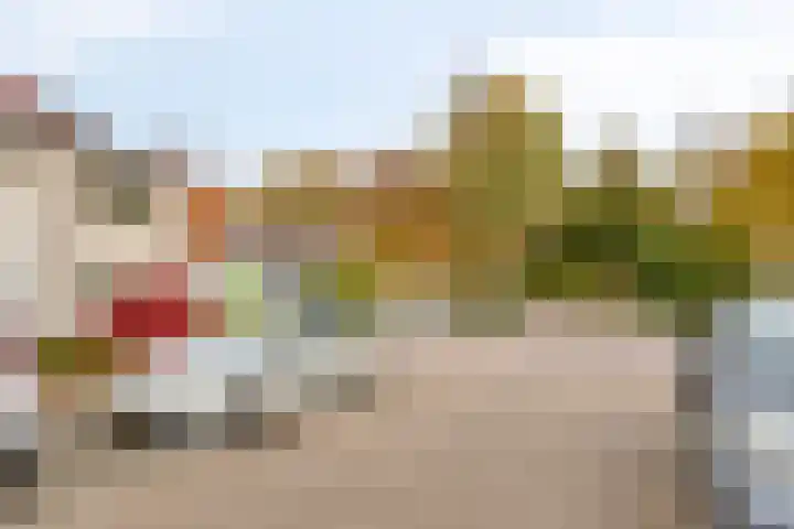 Rode Beuk 58 Halsteren thumbnail 37