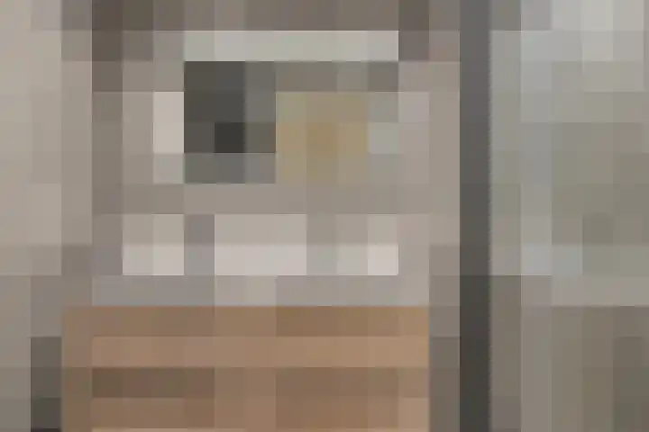 Rode Beuk 58 Halsteren thumbnail 6