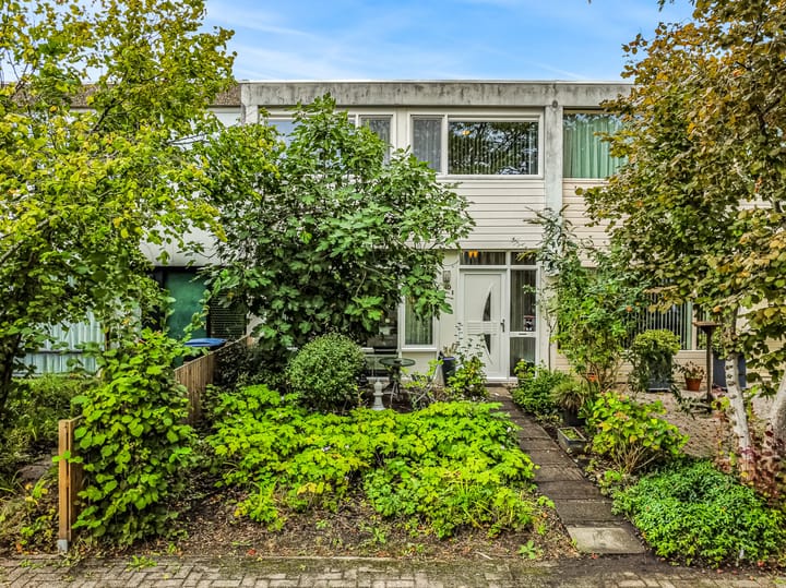 Rode Klaver 45 in Uithoorn foto