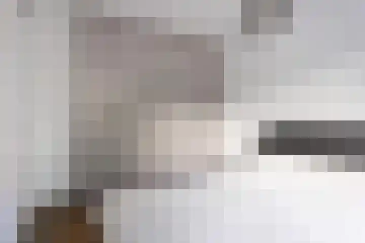 Rode Ring 215 Assendelft thumbnail 12