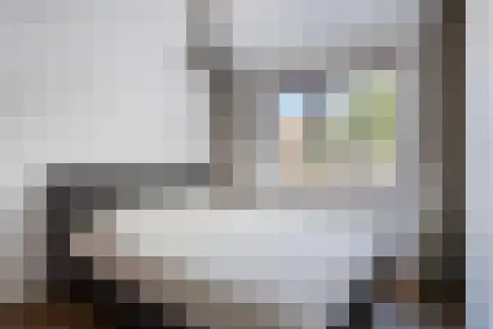Rode Ring 215 Assendelft thumbnail 4