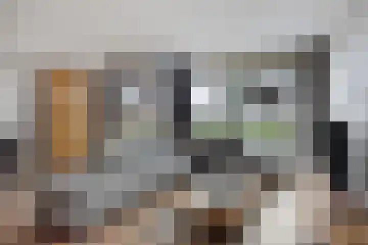 Rode Ring 215 Assendelft thumbnail 8