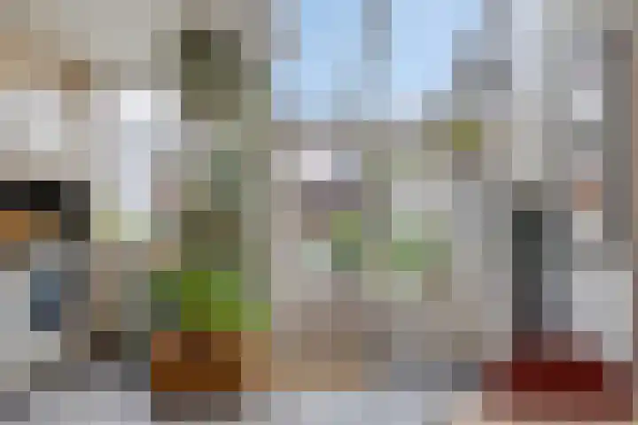 Rodedorp 26 Zierikzee thumbnail 12