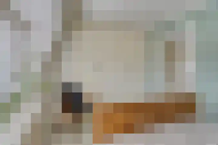 Rodedorp 26 Zierikzee thumbnail 15