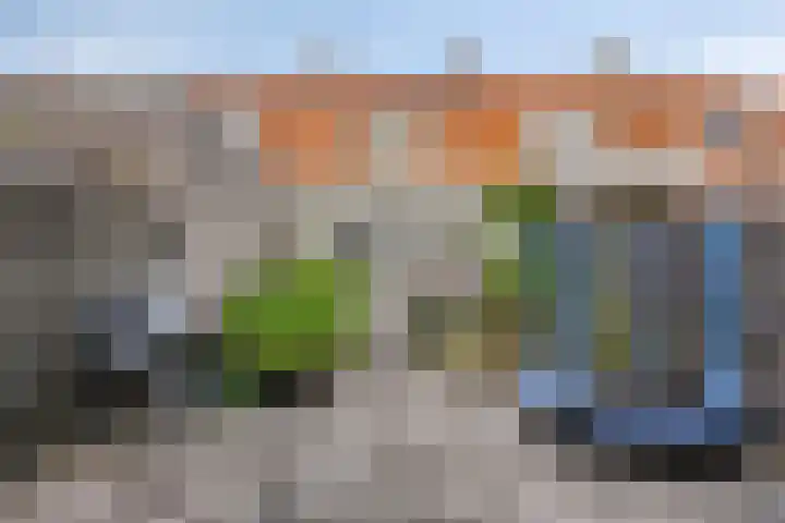 Rodedorp 26 Zierikzee thumbnail 19