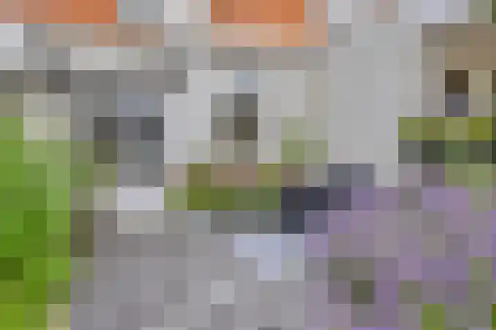 Rodedorp 26 Zierikzee thumbnail 20