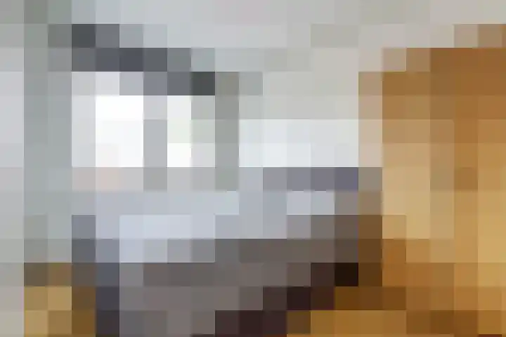 Rodedorp 33 Zierikzee thumbnail 15