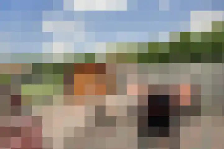 Rodedorp 33 Zierikzee thumbnail 26