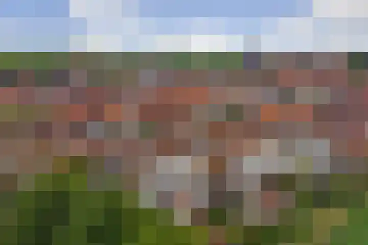 Rodedorp 33 Zierikzee thumbnail 30