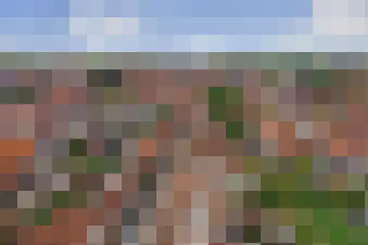 Rodedorp 33 Zierikzee thumbnail 31