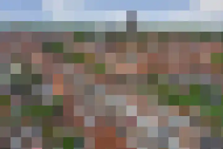 Rodedorp 33 Zierikzee thumbnail 32