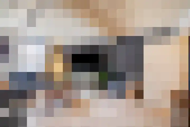 Rodeheldenstraat 20 Buren thumbnail 18