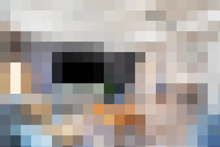 Rodeheldenstraat 20 Buren thumbnail 19