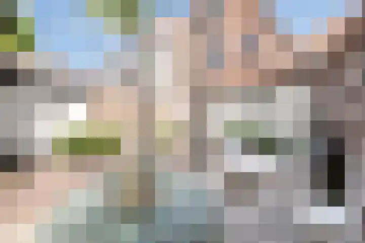 Rodeheldenstraat 20 Buren thumbnail 32