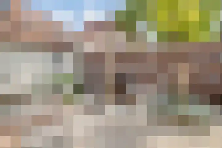 Rodeheldenstraat 20 Buren thumbnail 4