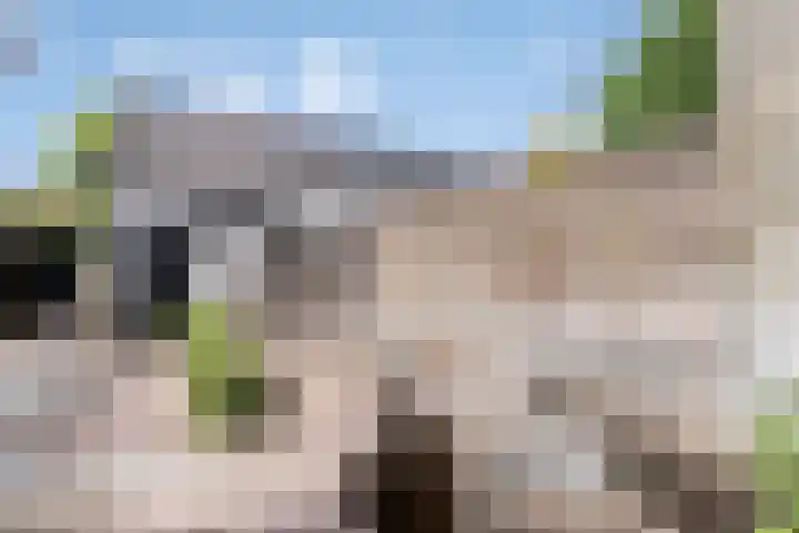 Rodeheldenstraat 20 Buren thumbnail 5