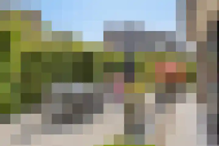 Roderweg 25 Liempde thumbnail 12