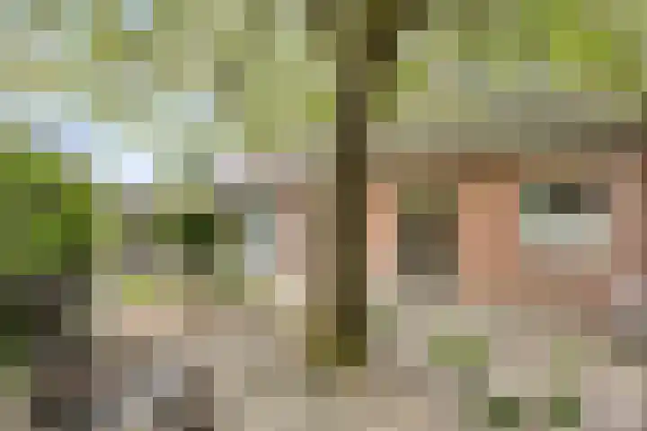Roderweg 25 Liempde thumbnail 14