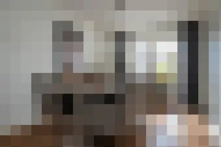 Roebol 13 Genemuiden thumbnail 20
