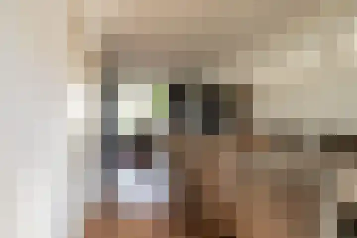 Roebol 13 Genemuiden thumbnail 21