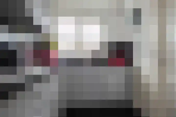 Roebol 13 Genemuiden thumbnail 25